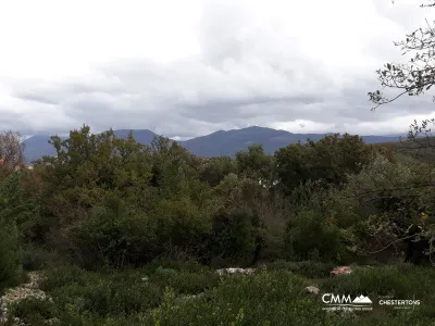 A plot in Radovici