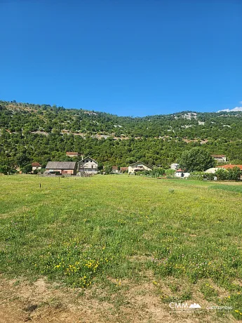 FOR SALE – Family property with large land and orchard, near Danilovgrad