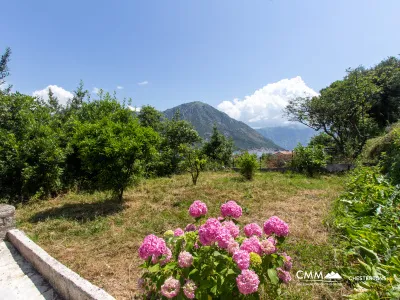 Spectacular Villa with pool overlooking the Bay of Kotor