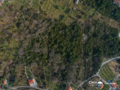 Plot in Kavac