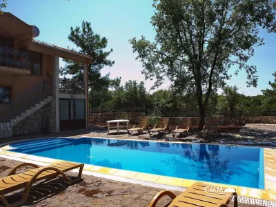 Two Villas in Krimovice with swimming pools and a large plot