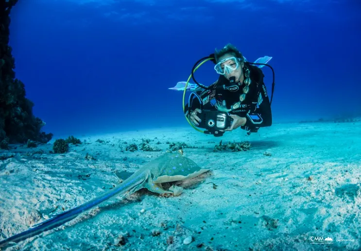 Diving in Montenegro