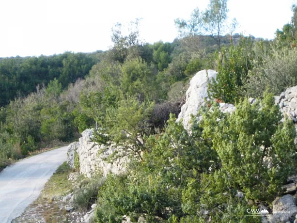 Land in Kotor with sea view