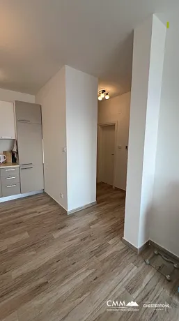 A one-bedroom apartment of 53m² in Dobre Vode