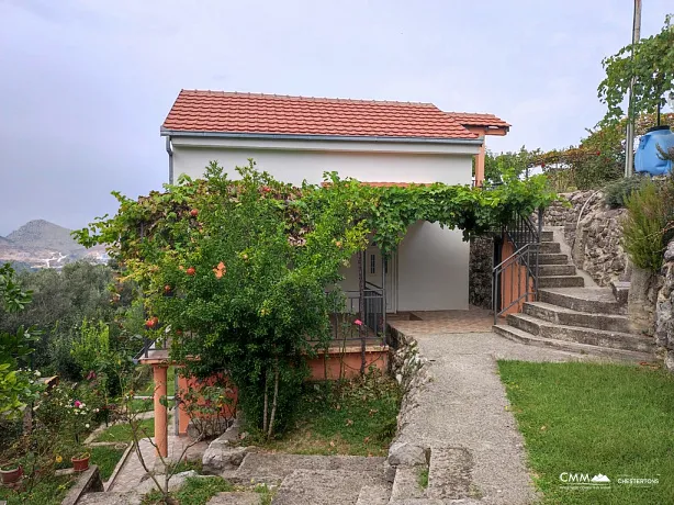 Two-story house with a large plot