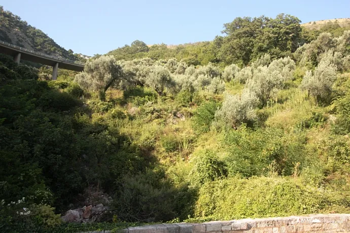 Land in Petrovac 