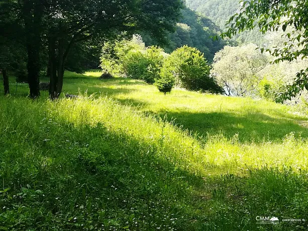 Plot on the bank of the river Tara