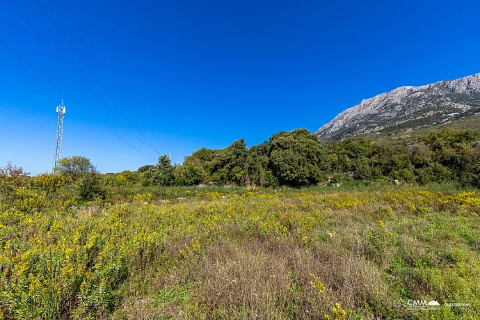 Plot in Bar-Pečurice 2003m²