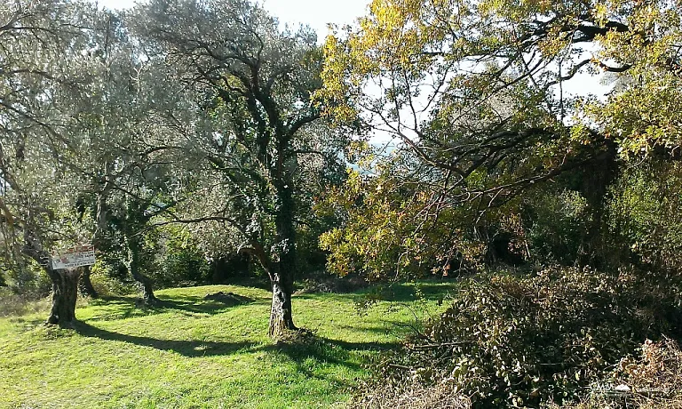 Land with view in Tivat