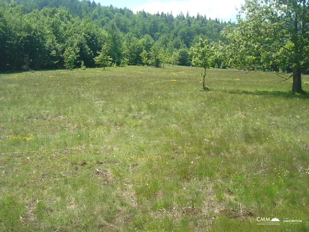 LAND FOR SALE – RUDINICE, PLUŽINE MUNICIPALITY