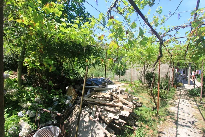 House in Kotor, Skaljari