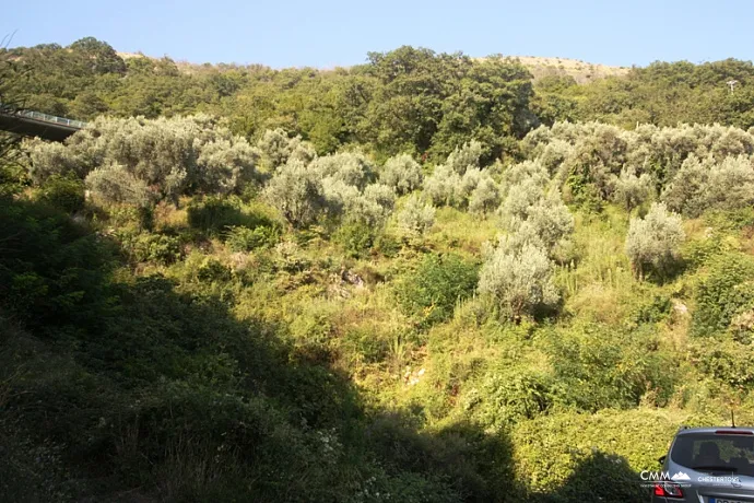 Land in Petrovac 