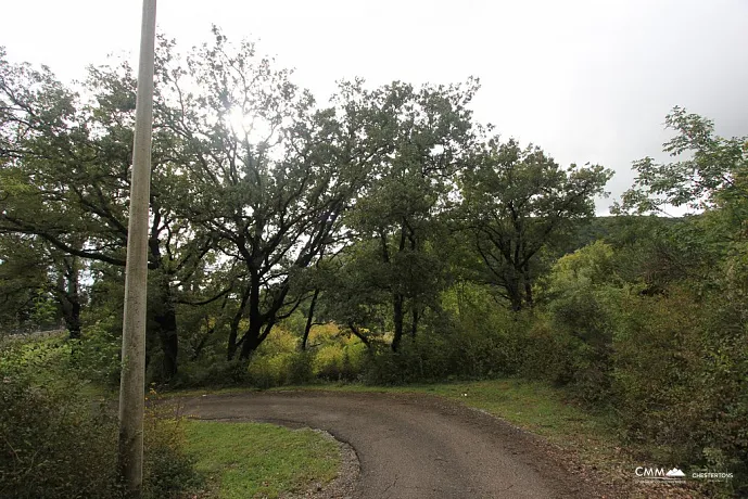 Plot in Markovichi