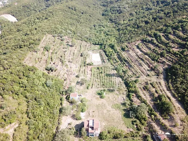  Plot in Radanovići, 83,000 m²