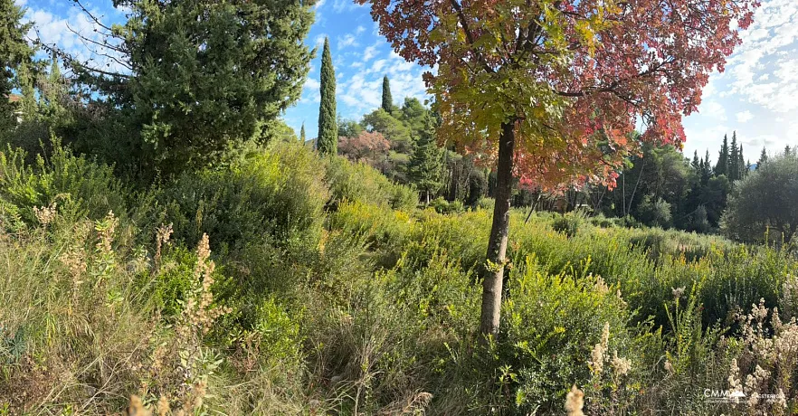 Beautiful plot surrounded by nature in Mojdež, Herceg Novi