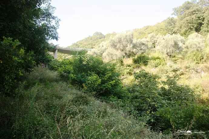 Land in Petrovac 