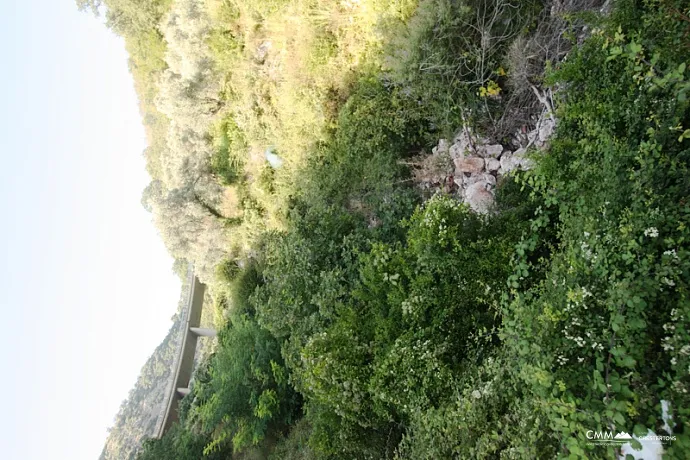 Land in Petrovac 
