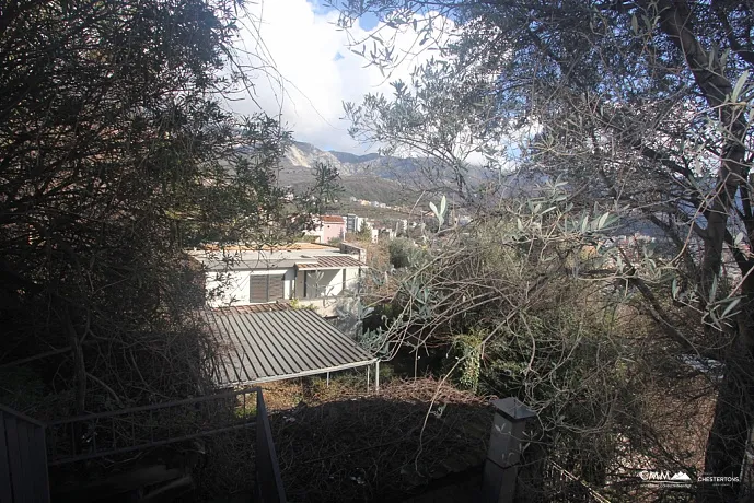 Two houses in Becici