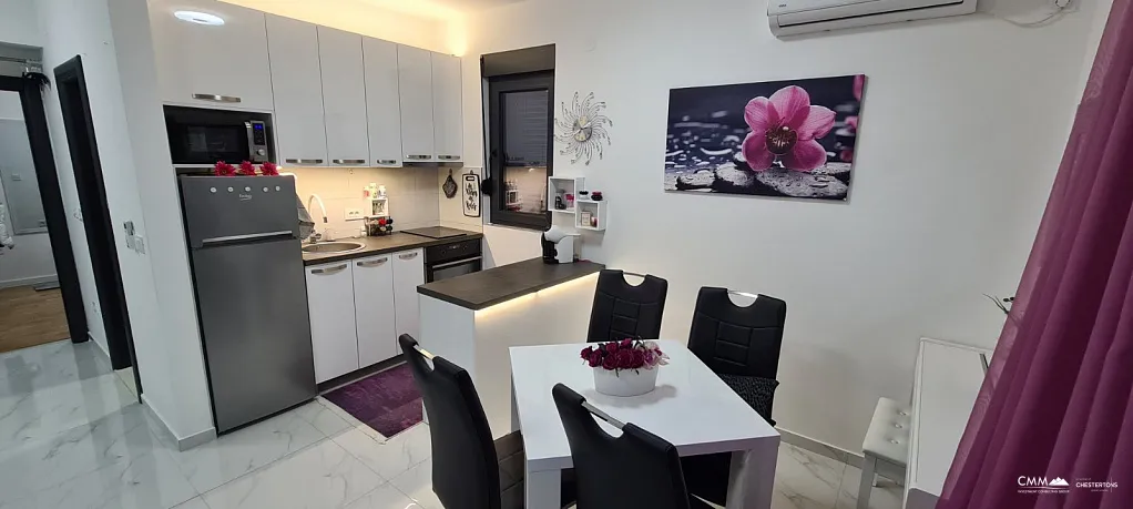 Modern apartment in beautiful Djenovici
