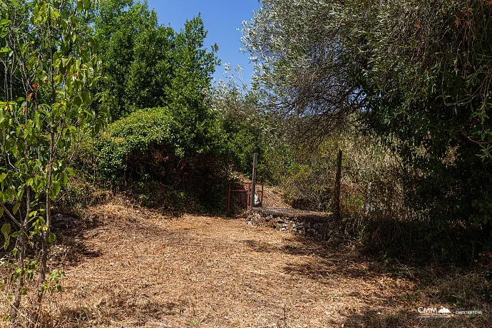 Stone House 105 m² with 2100 m² Land Plot in Glavatičići