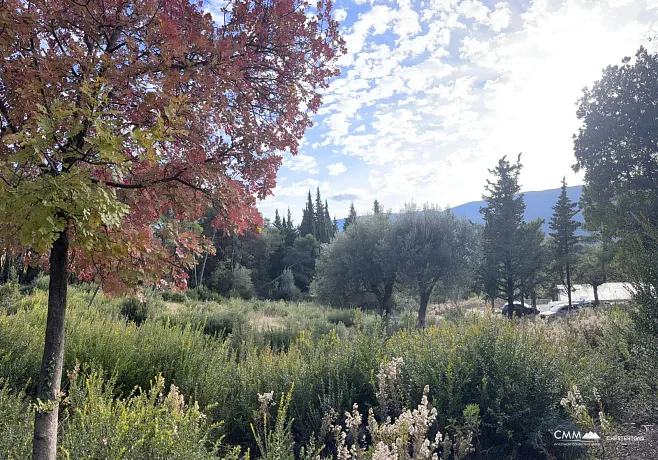 Beautiful plot surrounded by nature in Mojdež, Herceg Novi