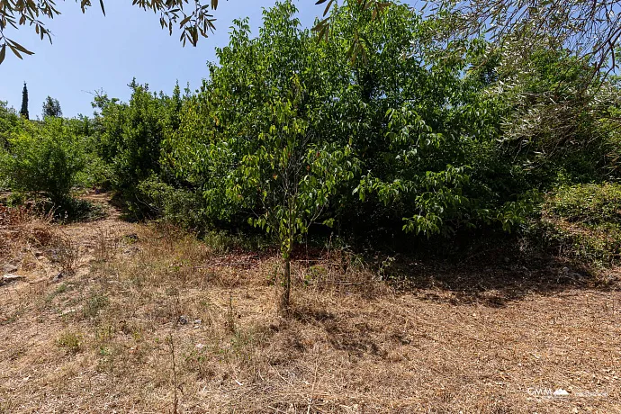 Stone House 105 m² with 2100 m² Land Plot in Glavatičići