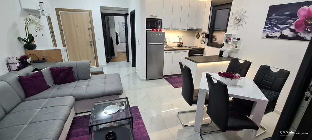 Modern apartment in beautiful Djenovici