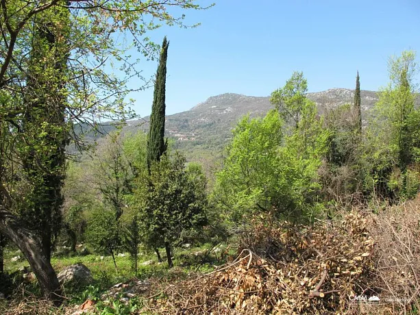 Land in Herceg Novi