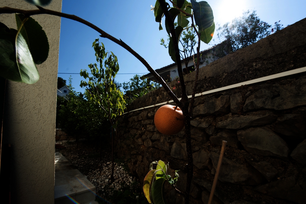 Image of Villa - 5 Bedrooms - 4 Bathrooms for Sale in Tivat-Tivat-Montenegro, Image 29