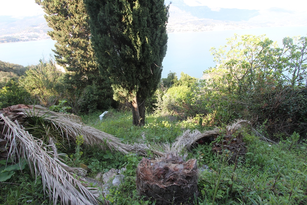 Image of Plot for Sale in Herceg-Novi-Herceg Novi-Montenegro, Image 5