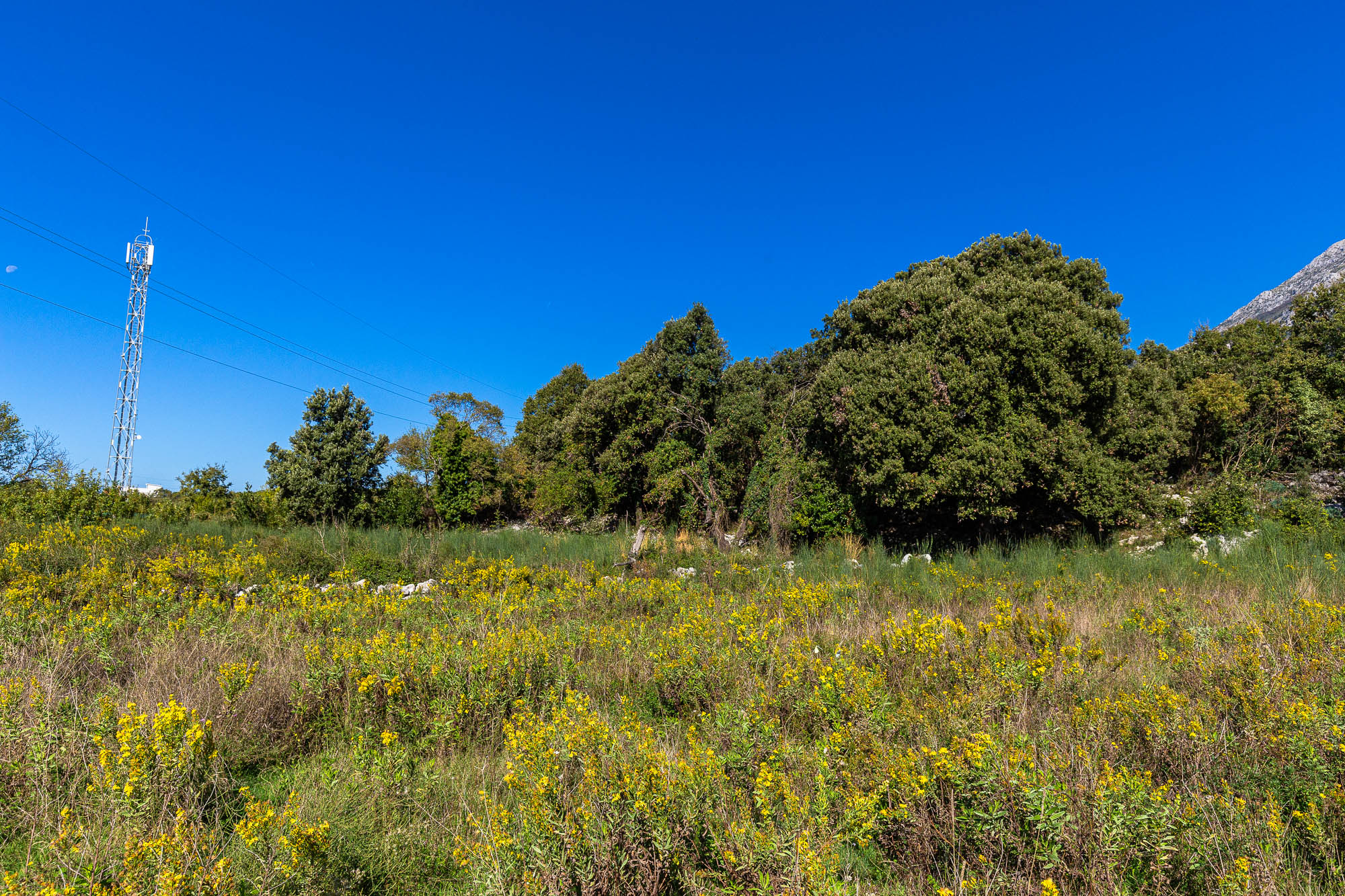 Image of Plot for Sale in Bar-Montenegro, Image 8