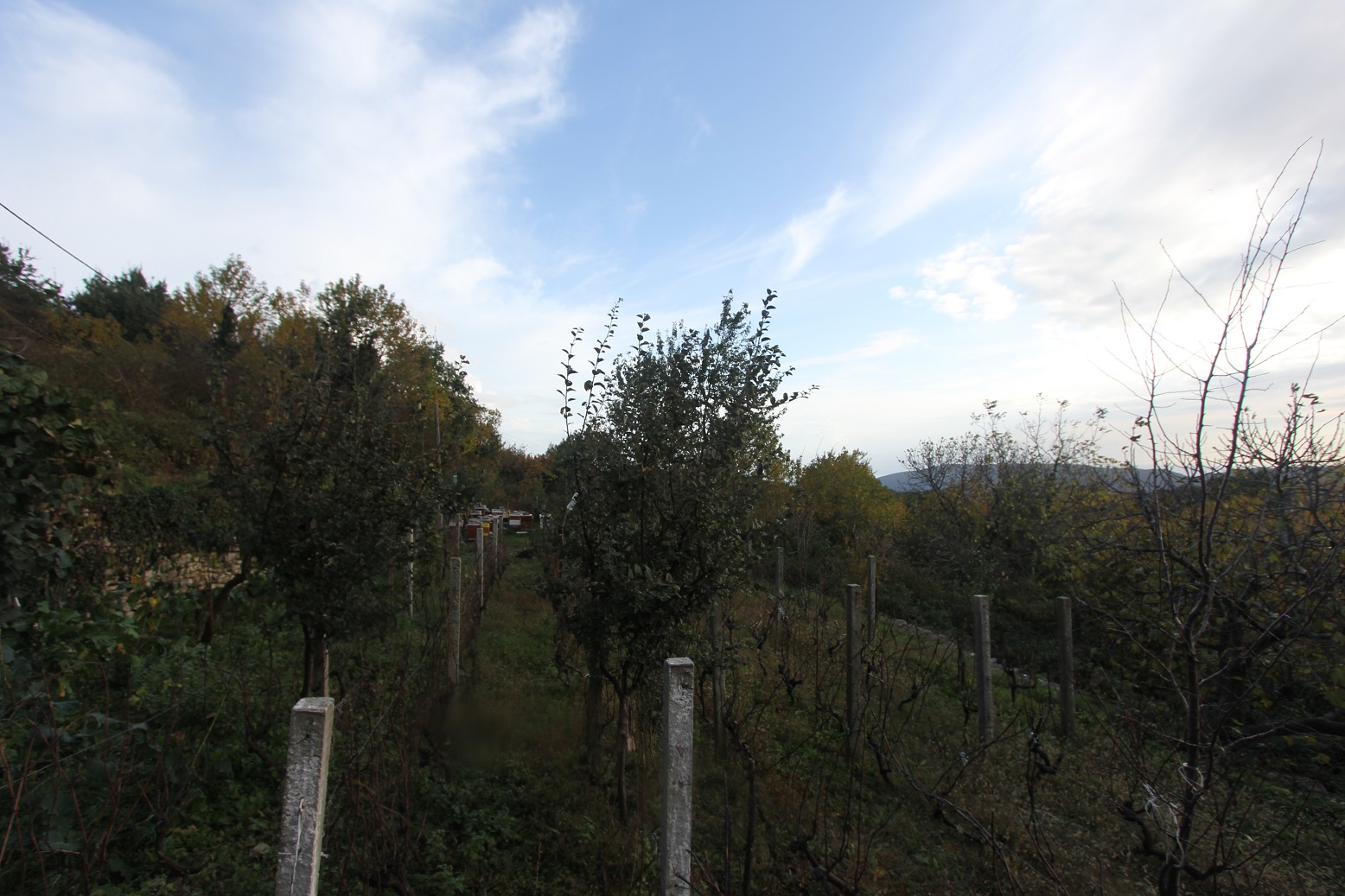 Image of Plot for Sale in Herceg-Novi-Herceg Novi-Montenegro, Image 2