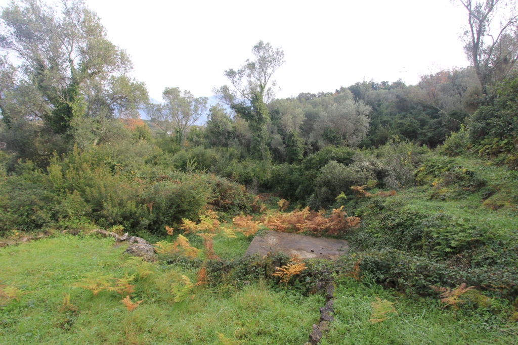 Image of Plot for Sale in Tivat-Tivat-Montenegro, Image 4