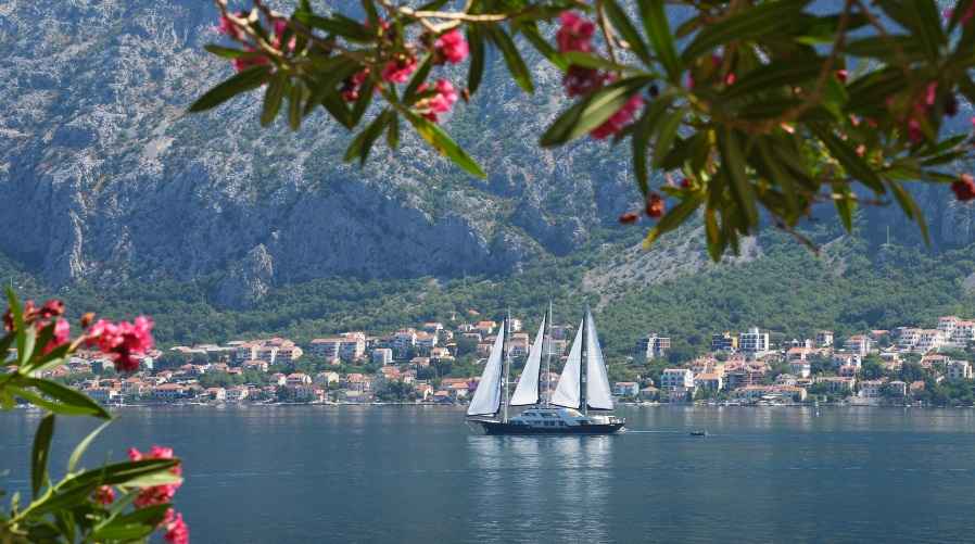 cmm-montenegro
