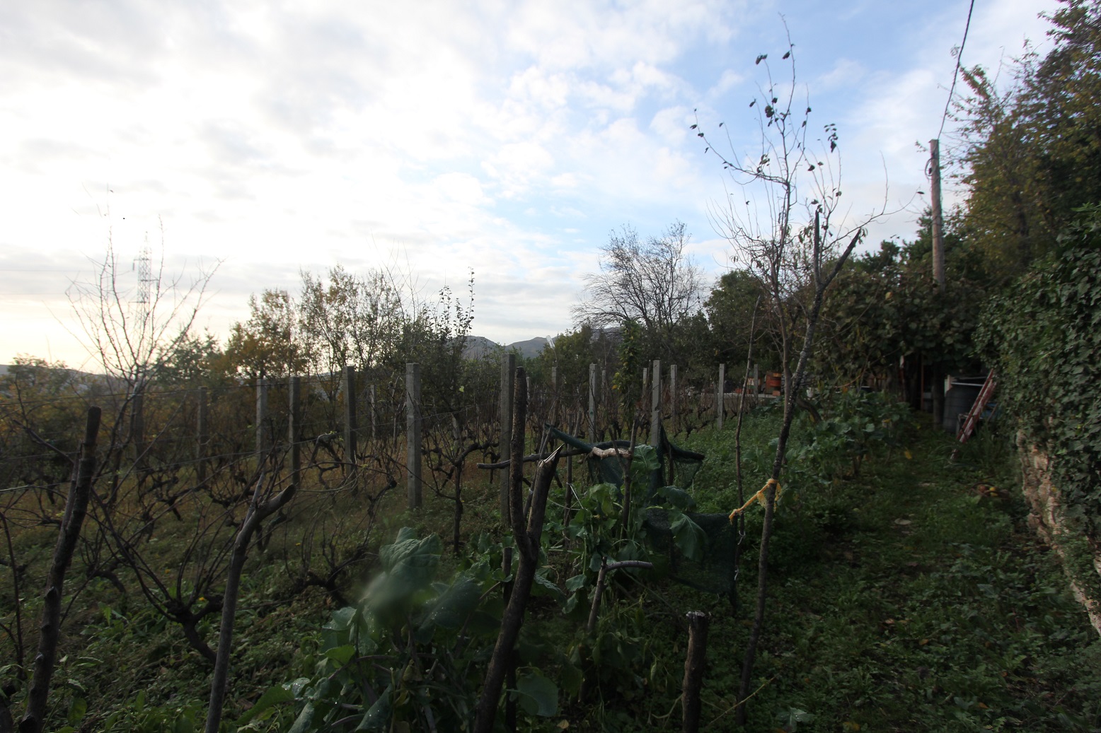 Image of Plot for Sale in Herceg-Novi-Herceg Novi-Montenegro, Image 3