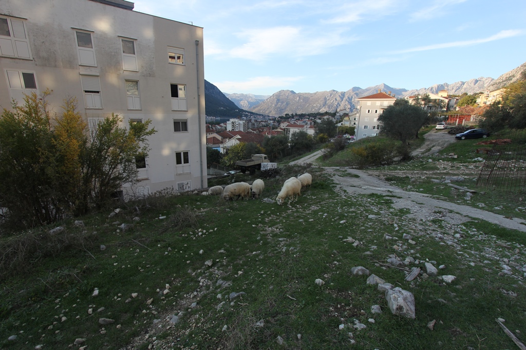 Image of Plot for Sale in Kotor-Dobrota-Montenegro, Image 10