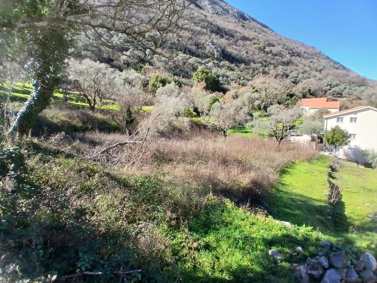Image of Property for Sale in Kotor-Stoliv-Montenegro, Image 1
