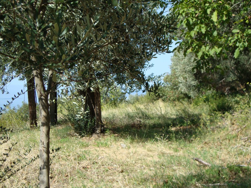 Image of Plot for Sale in Budva-Budva-Montenegro, Image 6