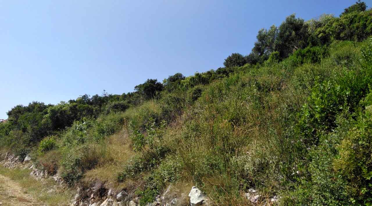 Plot in Dobre Vode