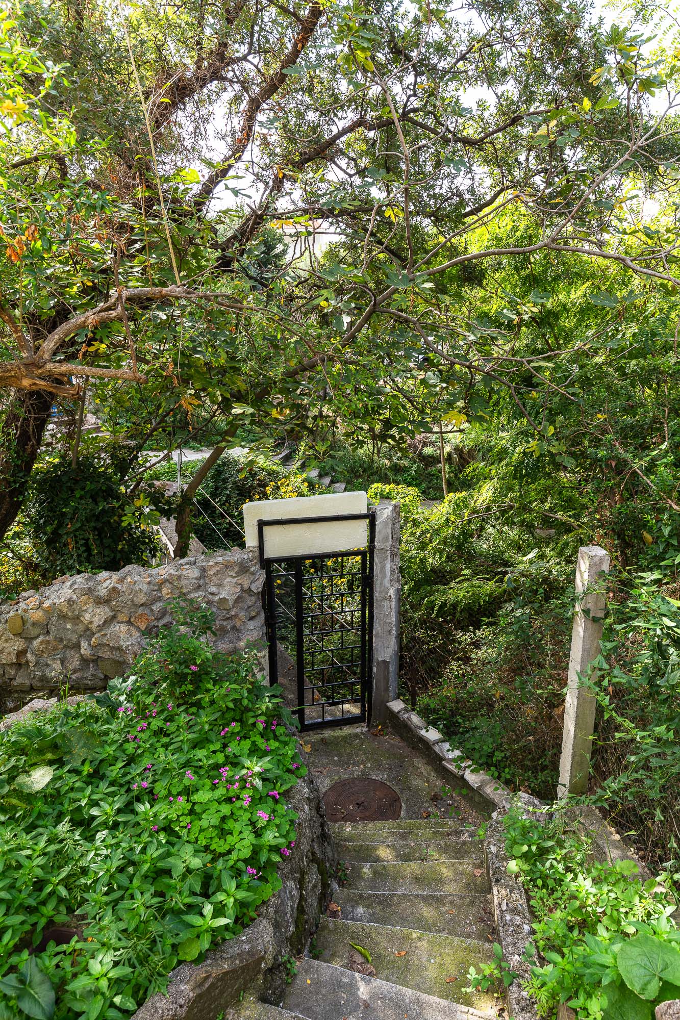 Image of House - 8 Bedrooms - 2 Bathrooms for Sale in Bar-Sutomore-Montenegro, Image 49