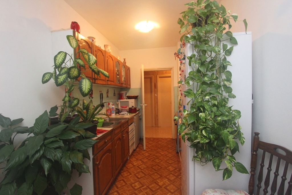 Image of Apartment - 2 Bedrooms - 2 Bathrooms for Sale in Tivat-Tivat-Montenegro, Image 8