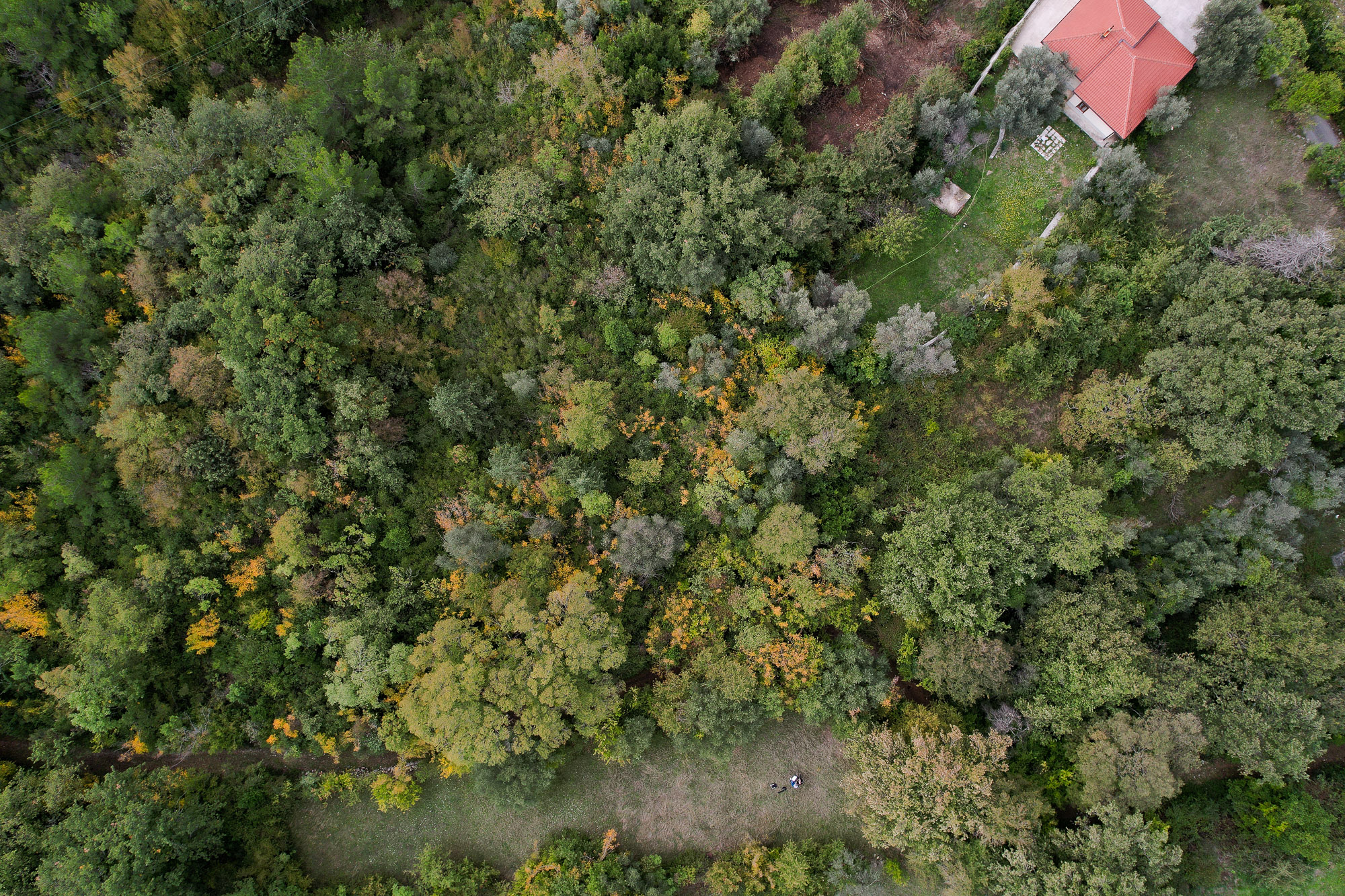 Image of Plot for Sale in Kotor-Kavac-Montenegro, Image 8