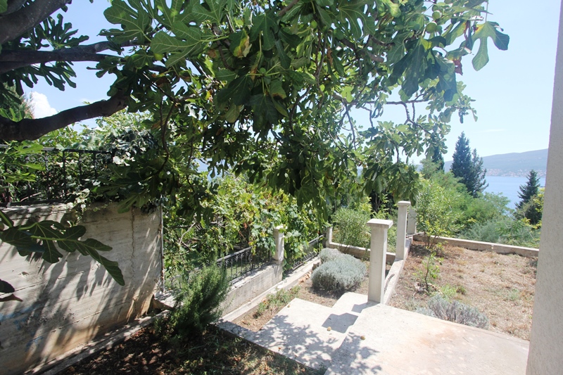 Image of House - 5 Bedrooms - 2 Bathrooms for Sale in Herceg-Novi-Herceg Novi-Montenegro, Image 13