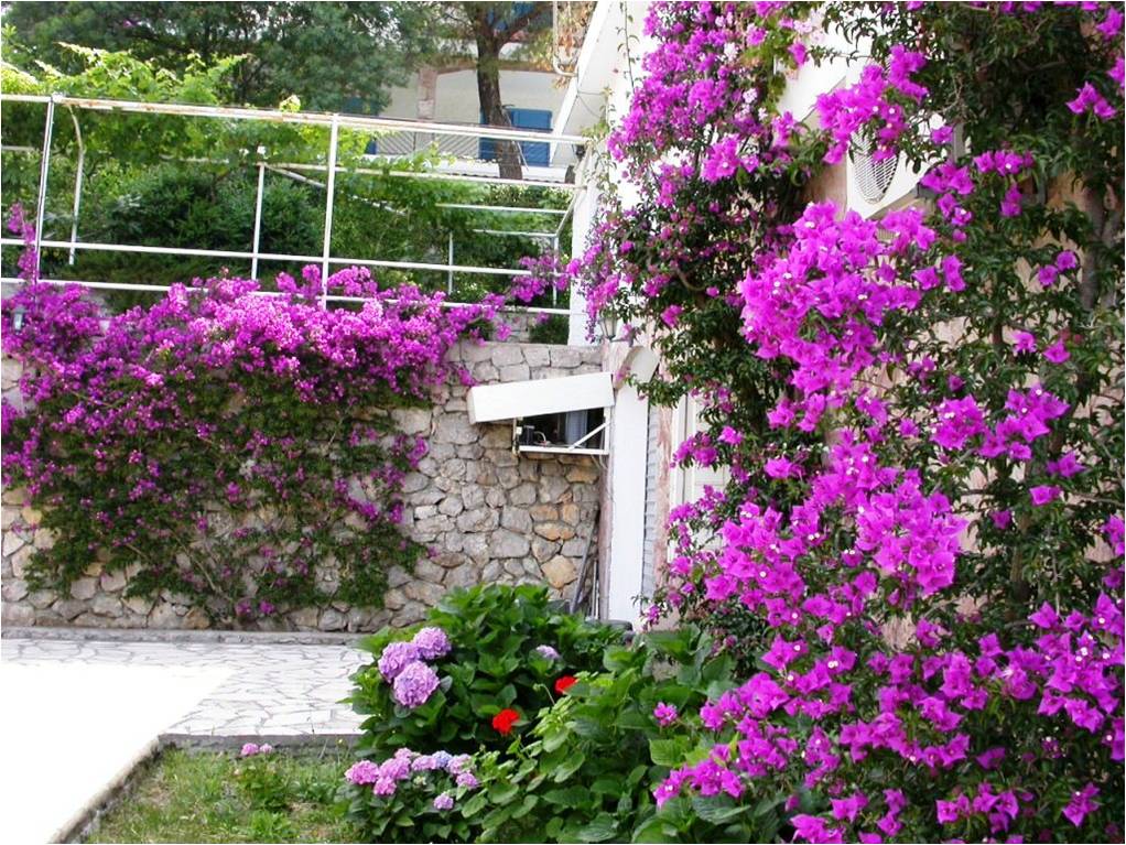 Image of House - 4 Bedrooms - 6 Bathrooms for Sale in Herceg-Novi-Herceg Novi-Montenegro, Image 8