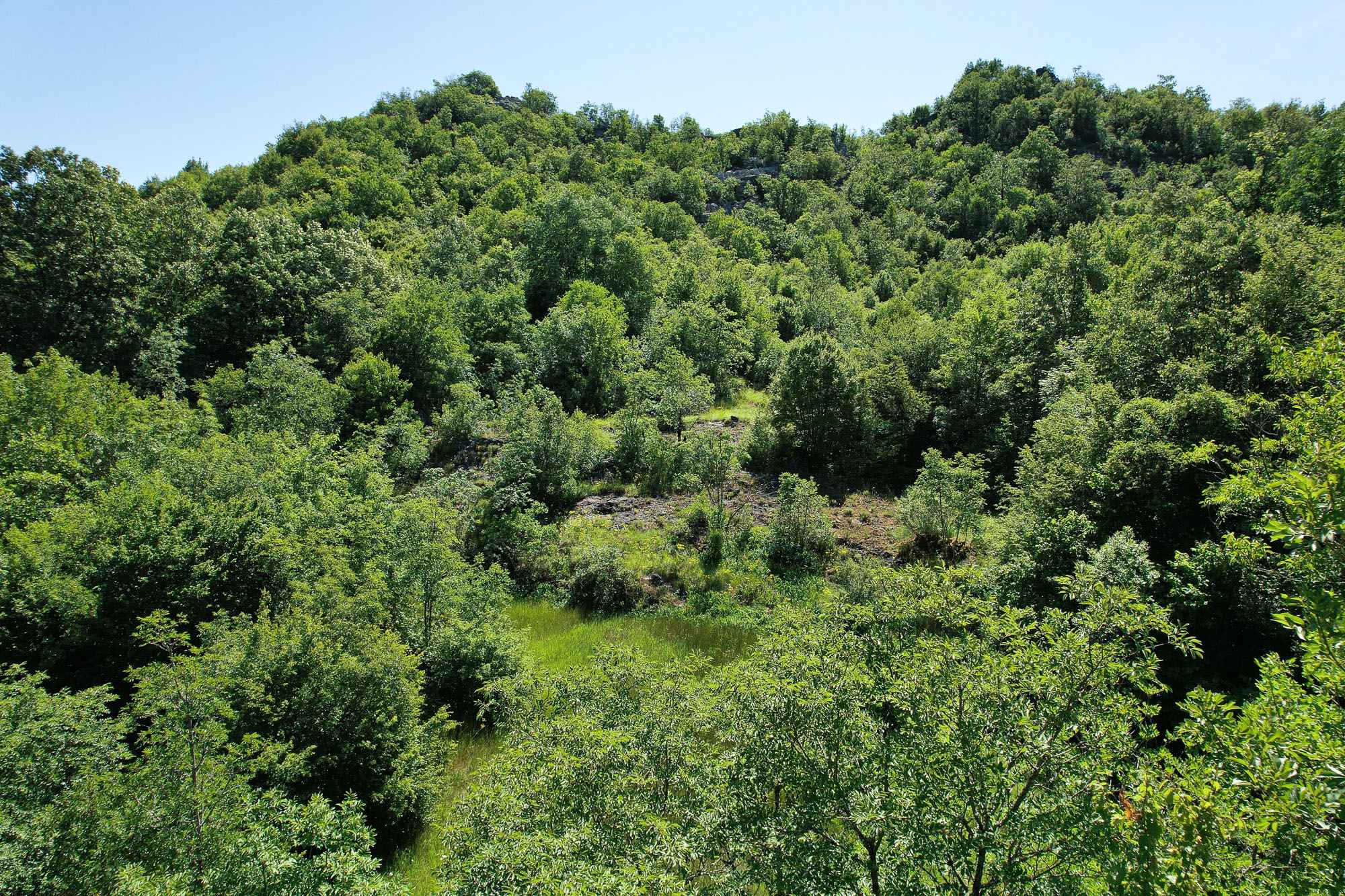Image of Plot for Sale in Montenegro, Image 2