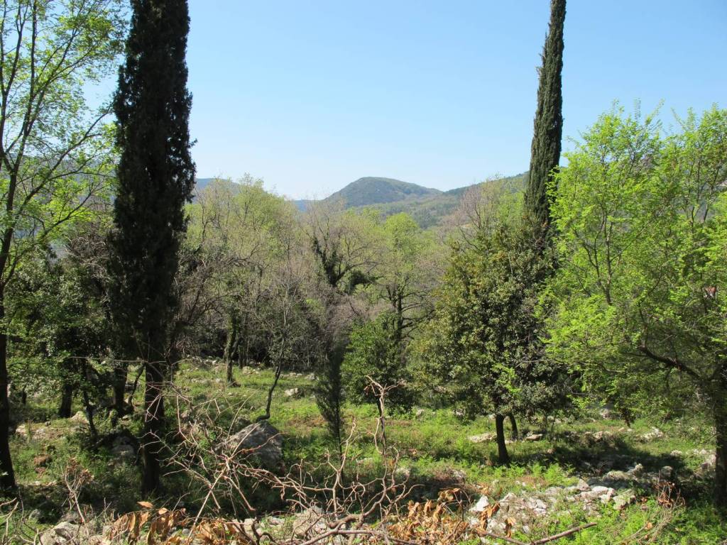 Image of Plot for Sale in Herceg-Novi-Herceg Novi-Montenegro, Image 2