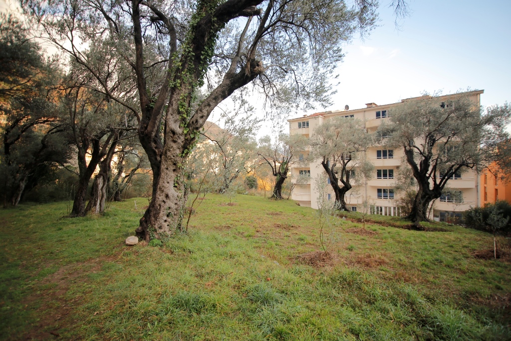 Image of Plot for Sale in Budva-Petrovac-Montenegro, Image 1
