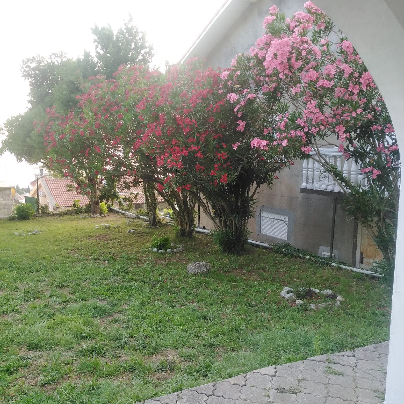 Image of House - 12 Bedrooms - 11 Bathrooms for Sale in Budva-Petrovac-Montenegro, Image 1