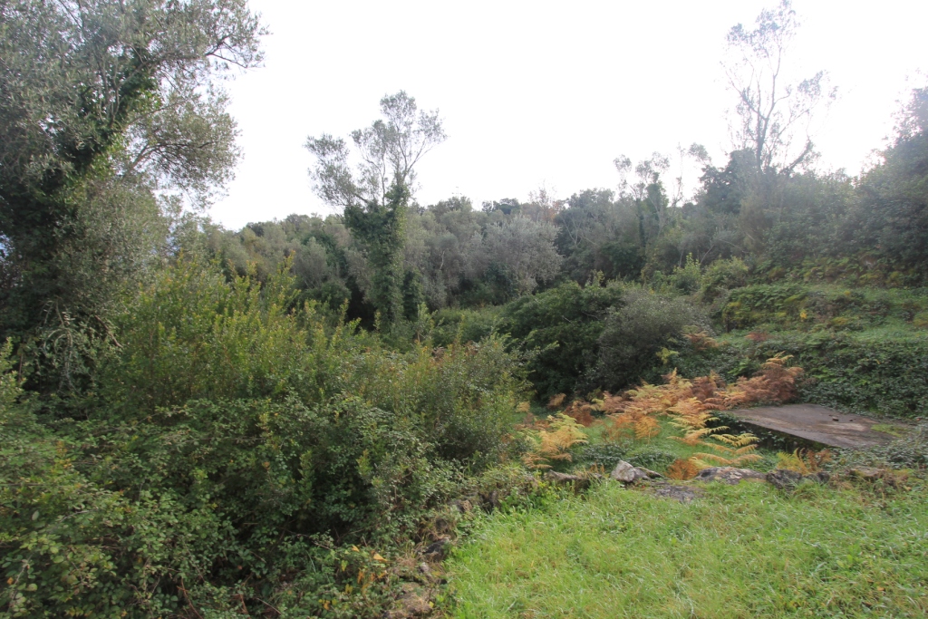 Image of Plot for Sale in Tivat-Tivat-Montenegro, Image 1