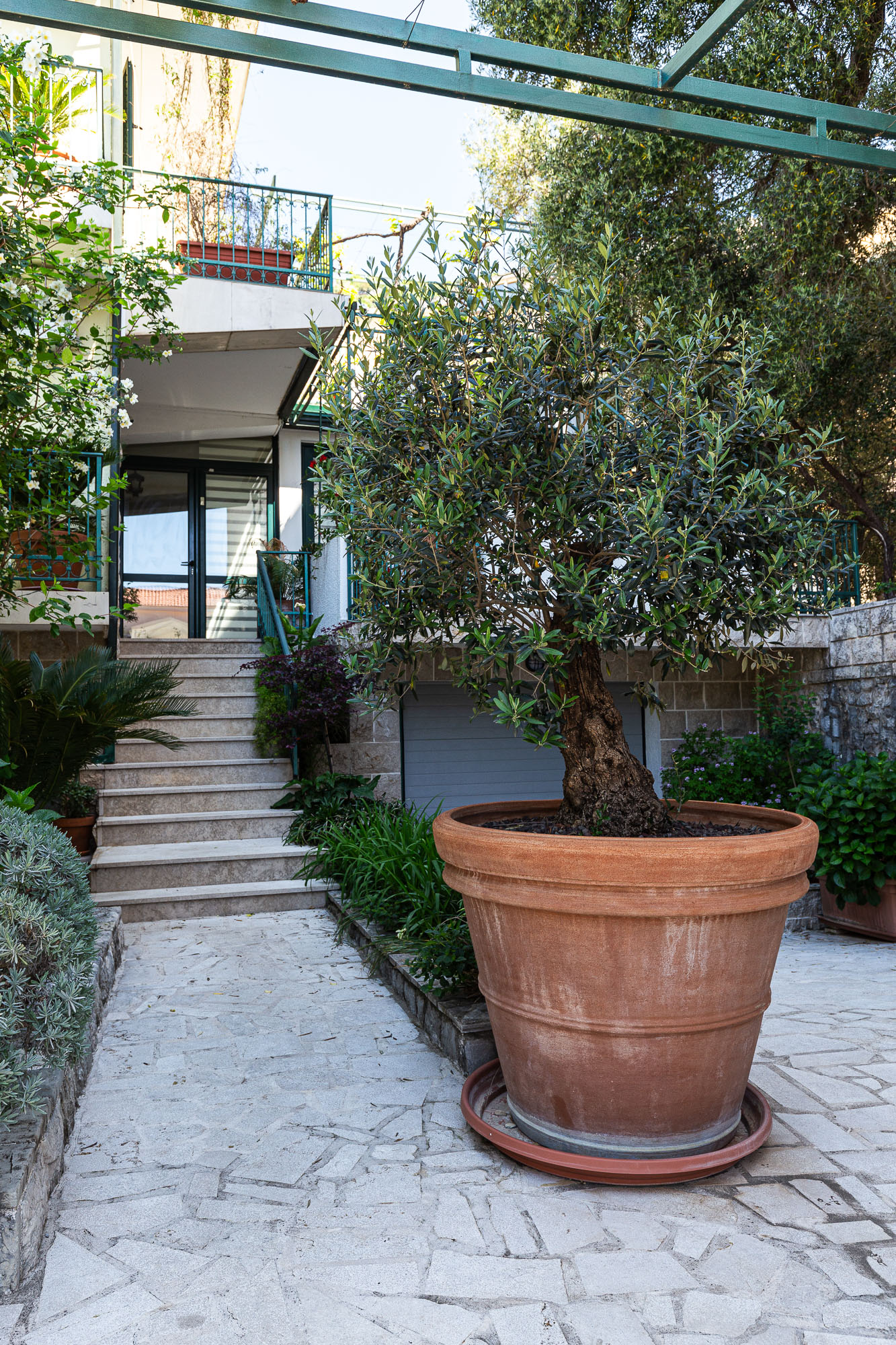 Image of House - 6 Bedrooms - 3 Bathrooms for Sale in Budva-Budva-Montenegro, Image 40